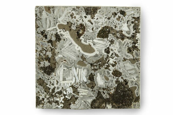 Polished Maslyanino Iron Meteorite Slice ( g) - Russia #246999